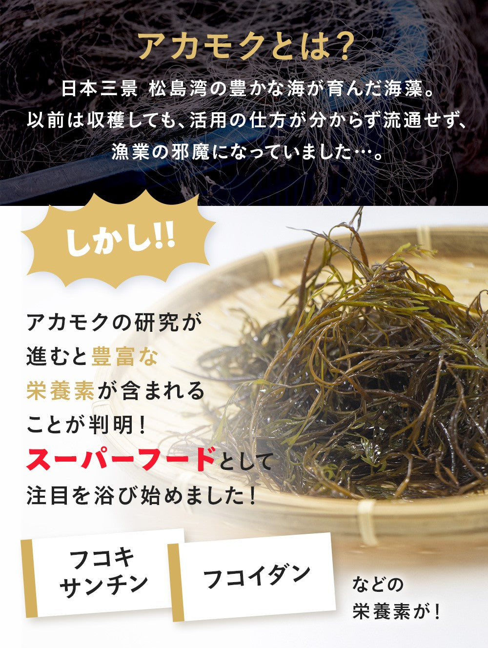 【まずはお試し6食】1週間で実感！